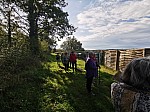 IMG_20241025_145334.jpg