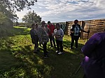 IMG_20241025_145404.jpg