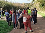 IMG_20241025_145923_1.jpg