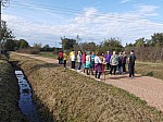 IMG_20241025_153127.jpg
