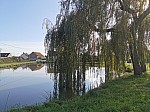 IMG_20241028_142426.jpg