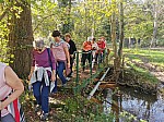 IMG_20241028_144526.jpg