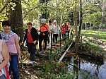 IMG_20241028_144530.jpg