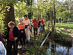 IMG_20241028_144536.jpg