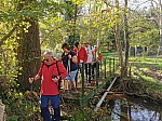 IMG_20241028_144543.jpg