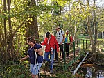 IMG_20241028_144547.jpg