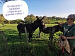IMG_20241028_151429.jpg