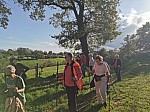 IMG_20241028_151617.jpg