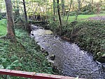 IMG_20241028_152621.jpg