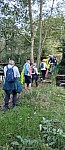 IMG_20241028_182304.jpg