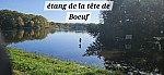 20241104_115405.jpg