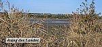 20241104_124408.jpg