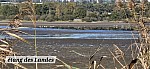 20241104_124425.jpg