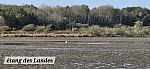 20241104_124447.jpg