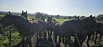 20241104_140944.jpg