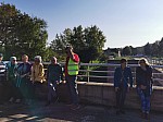 IMG_20241108_141918.jpg
