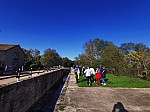 IMG_20241108_142151.jpg