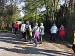 IMG_20241108_142304.jpg