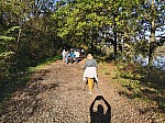 IMG_20241108_143812.jpg