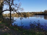 IMG_20241108_143840.jpg