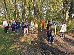 IMG_20241108_143939.jpg