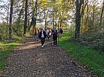 IMG_20241108_144035.jpg