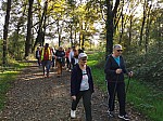 IMG_20241108_144040.jpg