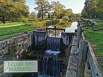 IMG_20241108_145915.jpg