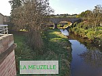 IMG_20241108_180250.jpg