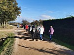 IMG_20241115_135347.jpg