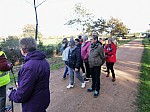 IMG_20241115_143242.jpg