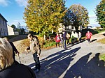IMG_20241115_144532.jpg