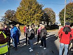 IMG_20241115_144549.jpg