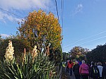 IMG_20241115_144724.jpg