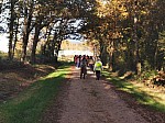 IMG_20241115_150147.jpg