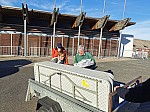 IMG_20241116_150016.jpg