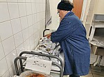 IMG_20241117_082853.jpg