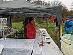 IMG_20241117_094758.jpg