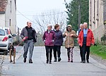 IMG_20241117_105250.jpg