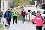 IMG_20241117_105255.jpg