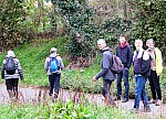 IMG_20241117_105316.jpg