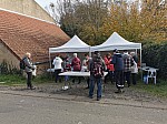IMG_20241117_150338.jpg