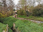 IMG_20241117_092915.jpg