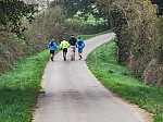 IMG_20241117_094912.jpg