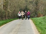 IMG_20241117_095939.jpg