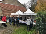 IMG_20241117_105300.jpg