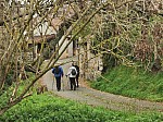 IMG_20241117_105438.jpg