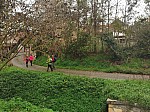 IMG_20241117_105536.jpg