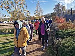IMG_20241122_134620.jpg