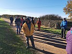 IMG_20241122_135911.jpg